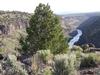 Next to the Wild and Scenic Rivers Area